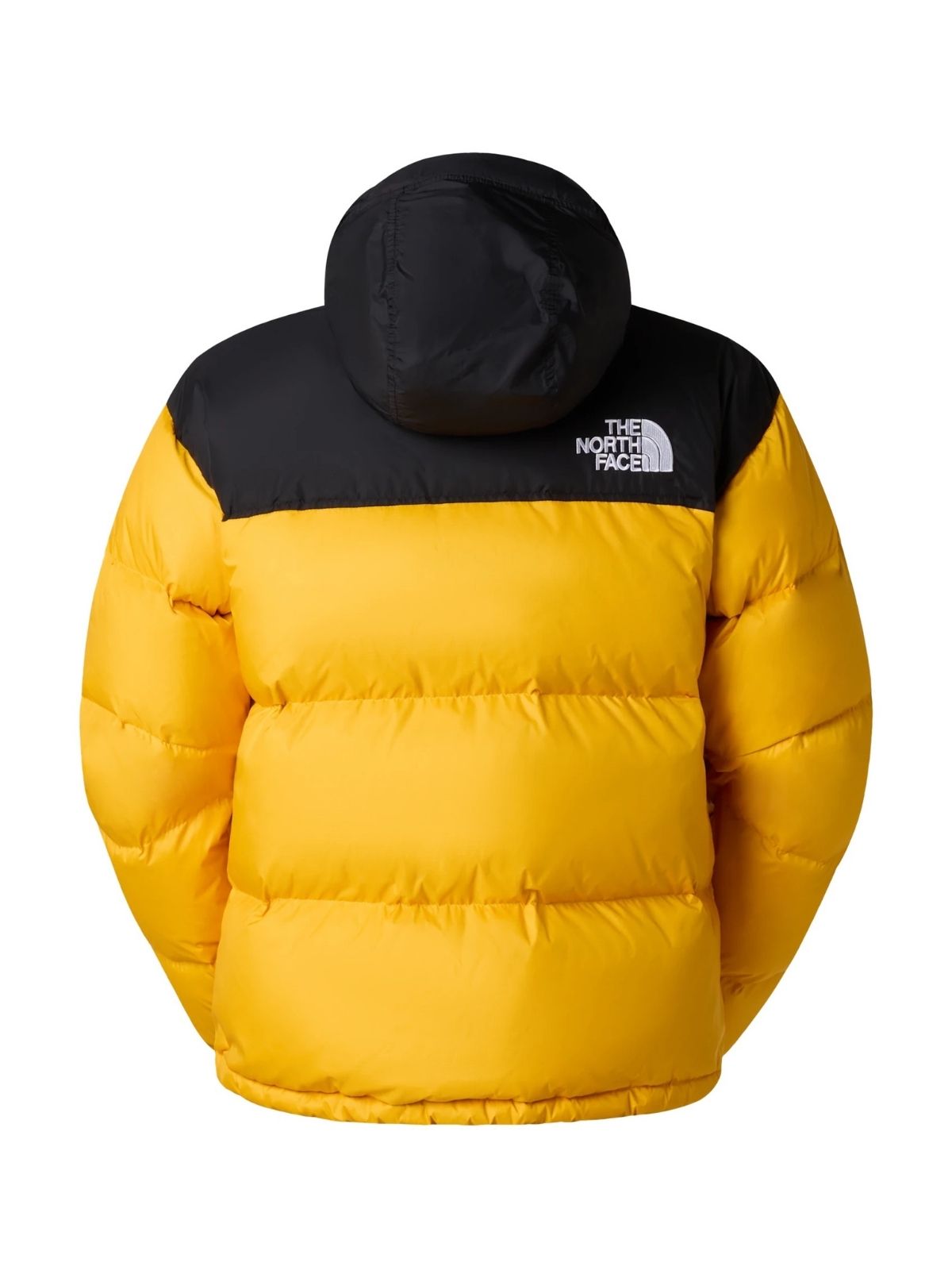 JACKET - THE NORTH FACE
